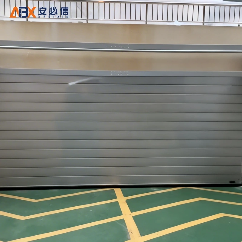 衡水市感应高速门